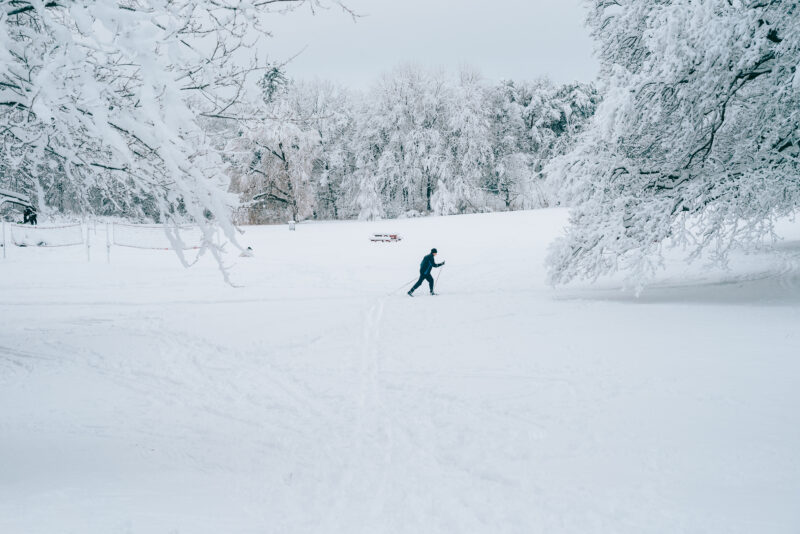 Skier in snowy landscape