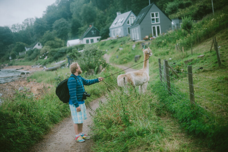 Man and alpaca standing on a small path surrounded by green