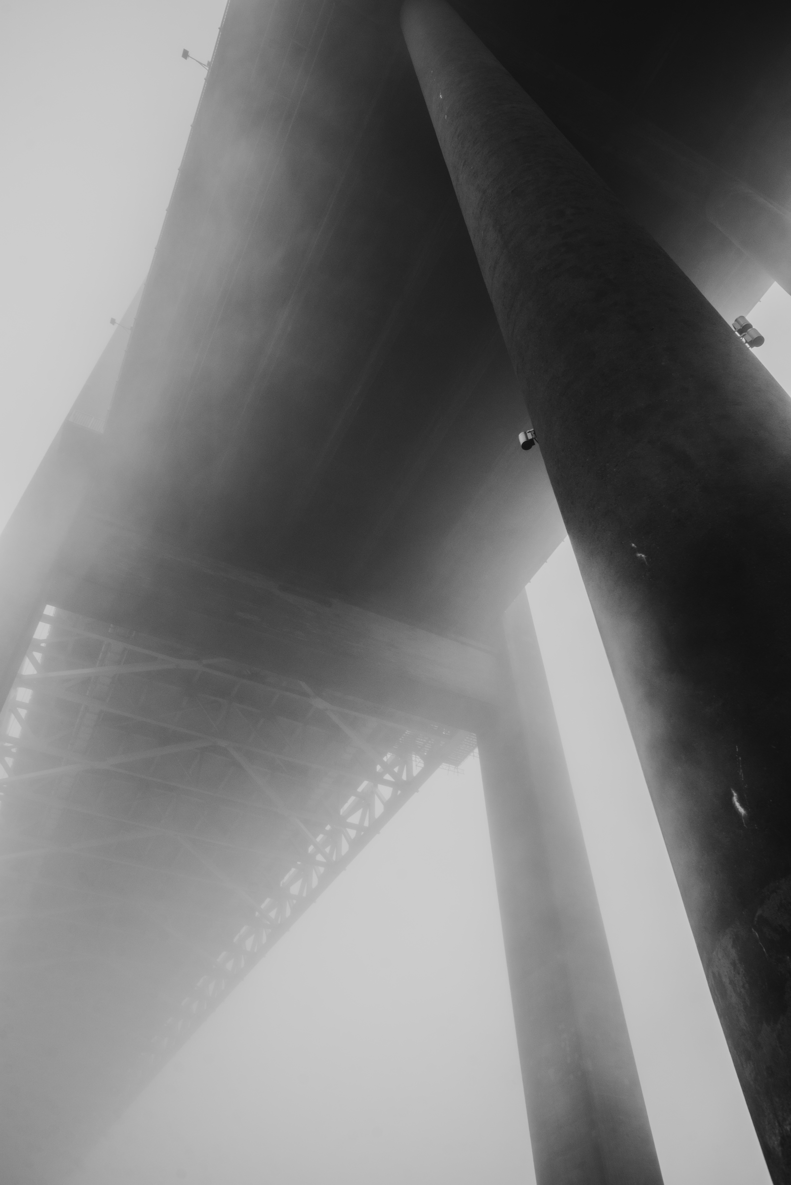 Bridge in thick fog seen from a frog's view