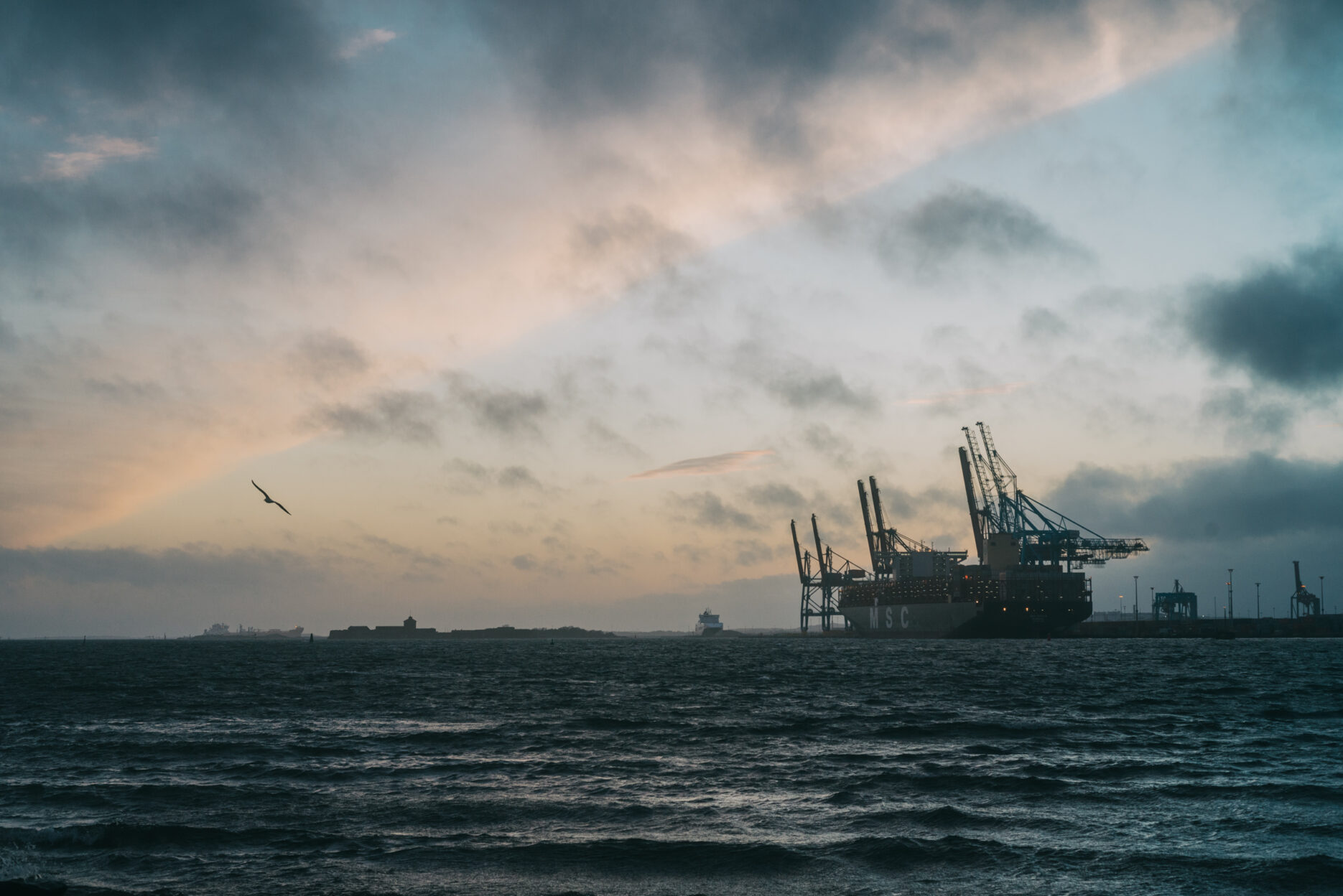 Dark water and large industrial cranes against a cloudy sky.