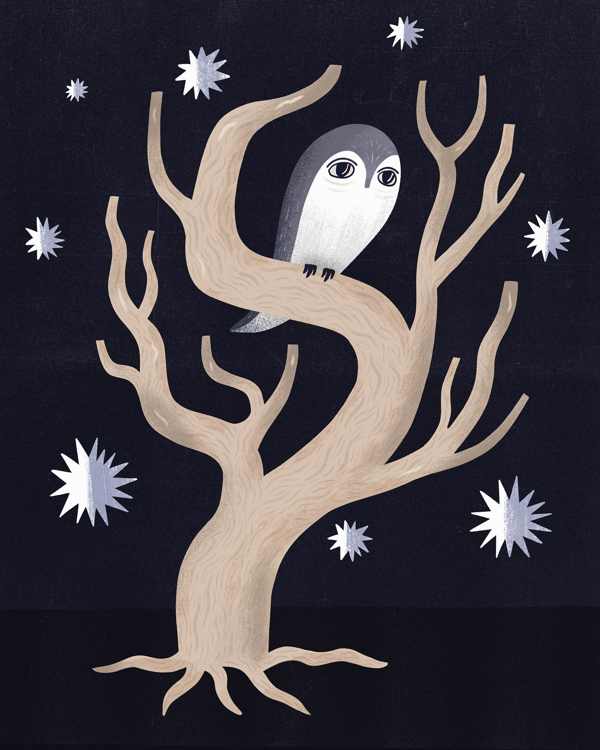 An owl sitting in a tree during night. Stars are seen in the background.
